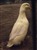 2011_0825sommarenbarnen0065.JPG