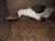 2011_0825sommarenbarnen0074.JPG