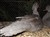 2011_0825sommarenbarnen0078.JPG