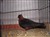 2011_0825sommarenbarnen0084.JPG